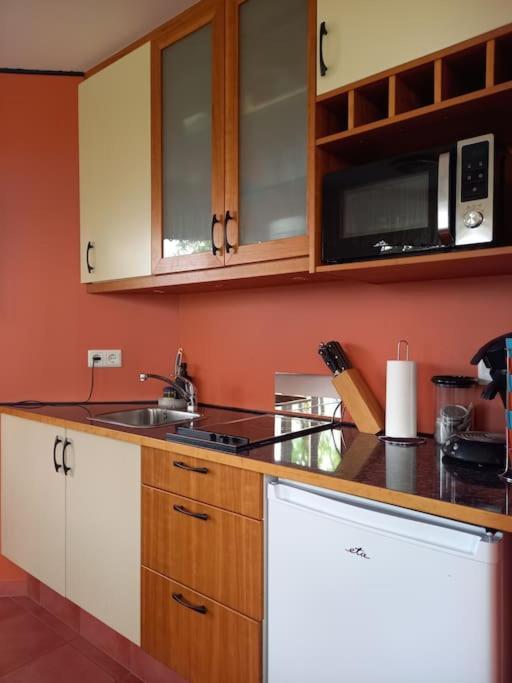 Apartamento Þorsmoerk Farm 12 Min From Akureyri Svalbarthseyri Exterior foto