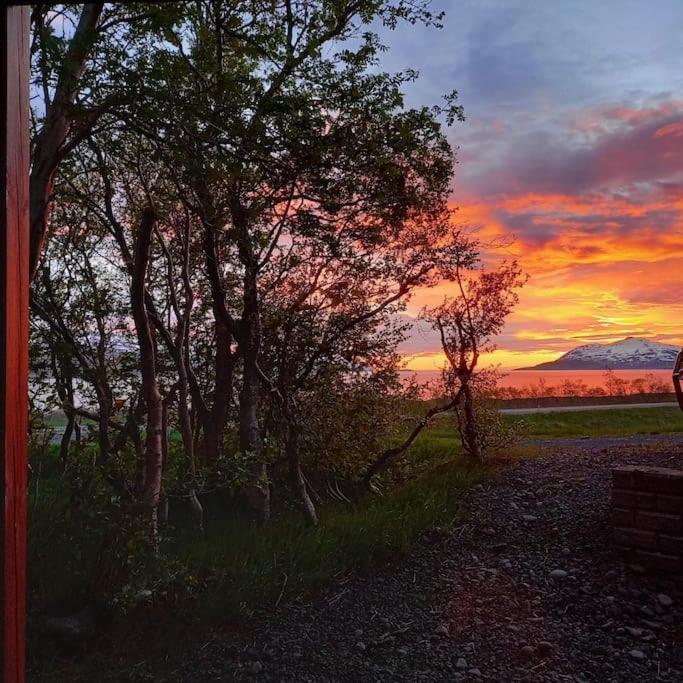 Apartamento Þorsmoerk Farm 12 Min From Akureyri Svalbarthseyri Exterior foto