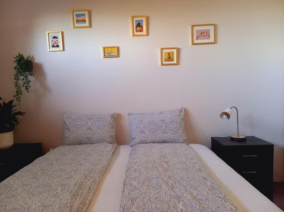 Apartamento Þorsmoerk Farm 12 Min From Akureyri Svalbarthseyri Exterior foto