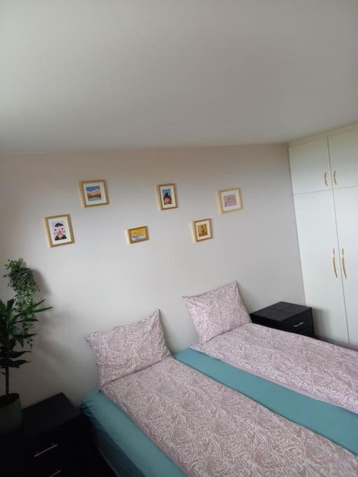 Apartamento Þorsmoerk Farm 12 Min From Akureyri Svalbarthseyri Exterior foto